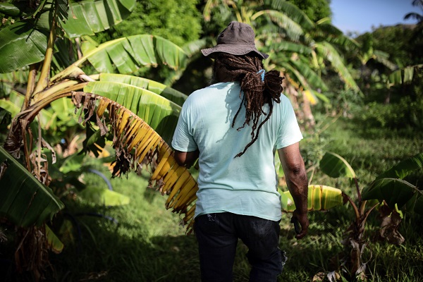 Foto - Kolombiya'da 14 Mayıs Dünya Çiftçiler Günü