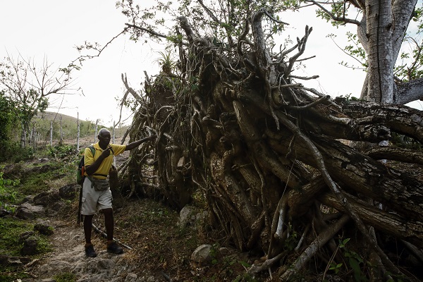 Foto - Kolombiya'da 14 Mayıs Dünya Çiftçiler Günü