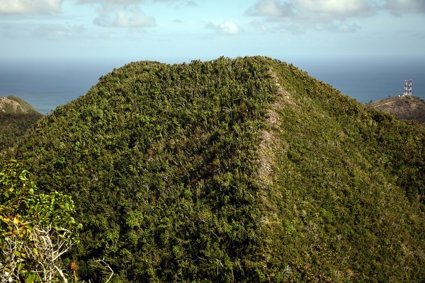 Foto - Kolombiya'da 14 Mayıs Dünya Çiftçiler Günü