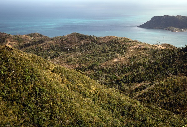 Foto - Kolombiya'da 14 Mayıs Dünya Çiftçiler Günü