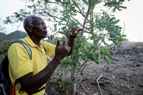 Foto - Kolombiya'da 14 Mayıs Dünya Çiftçiler Günü