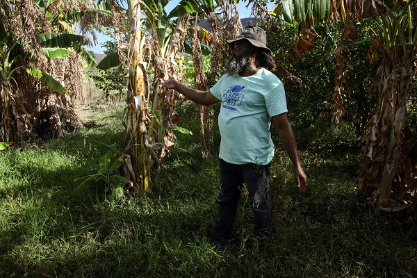 Foto - Kolombiya'da 14 Mayıs Dünya Çiftçiler Günü