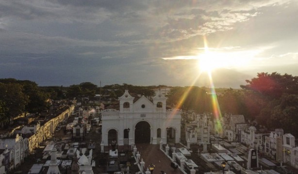 Kolombiya'daki mezarlık kedilerinin gizemi! Öğrenince şok olacaksınız