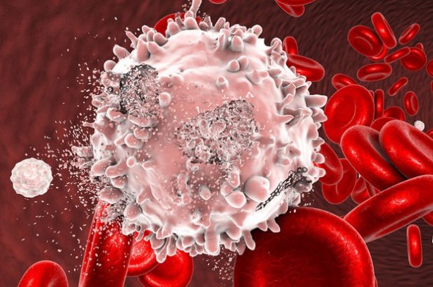 Foto - Kolon kanserinden korunmak için böyle beslenin