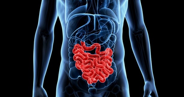 Foto - Kolon kanserinden korunmak için böyle beslenin