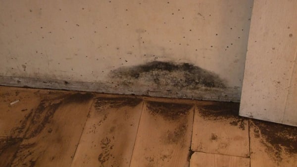 Foto - Kolonlar bu hale geldi! Bu olayın sırrı aylardır çözülemiyor