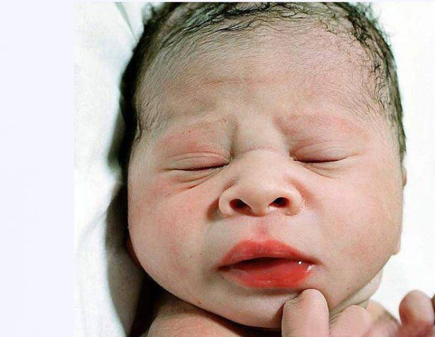 Foto - Kolostrum nedir, faydaları neler?