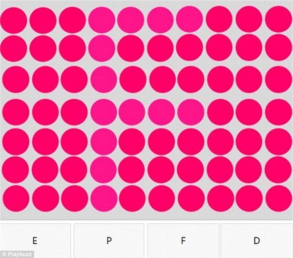 Foto - Koltuğun üzerindeki nesneyi görebiliyor musunuz?