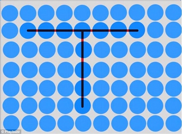 Foto - Koltuğun üzerindeki nesneyi görebiliyor musunuz?