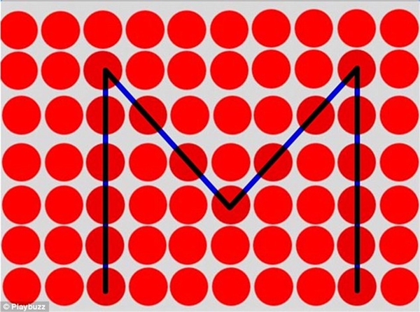 Foto - Koltuğun üzerindeki nesneyi görebiliyor musunuz?