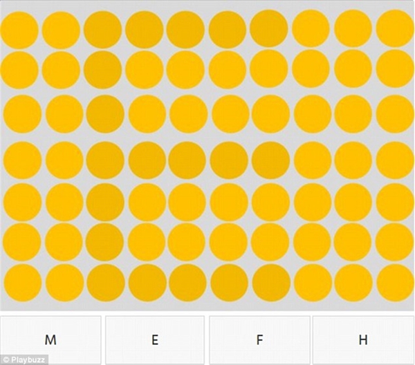 Foto - Koltuğun üzerindeki nesneyi görebiliyor musunuz?
