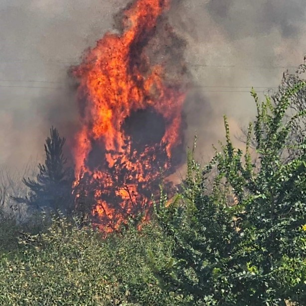 Foto - Komşudaki yangına Türkiye'den destek