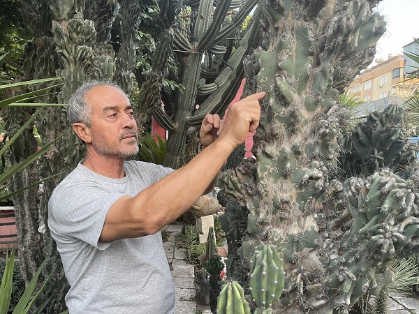 Foto - Komşusunda gördü yetiştirmeye başladı! 45 yılda 60 farklı çeşit