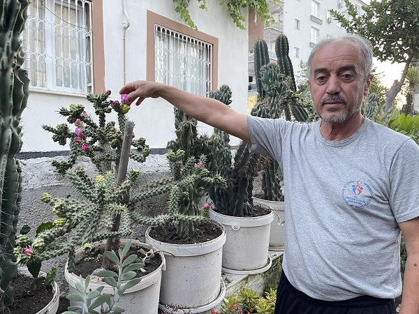 Foto - Komşusunda gördü yetiştirmeye başladı! 45 yılda 60 farklı çeşit