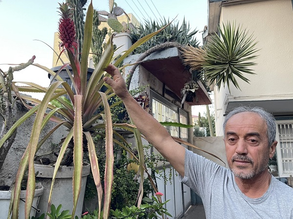 Foto - Komşusunda gördü yetiştirmeye başladı! 45 yılda 60 farklı çeşit