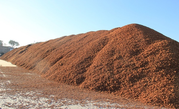 Kömür fiyatları artınca kıymete bindi! Altınla yarışan meyvenin kabuğu da değerlendi