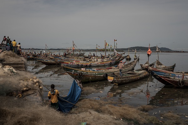 Foto - Konakri'de günlük yaşam objektiflere yansıdı