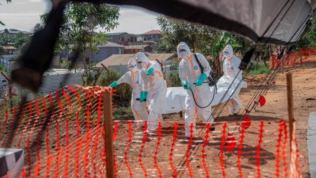 Kongo'da Ebola dehşeti: Vaka sayısı 8 bini aştı