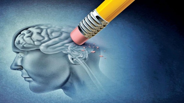 Foto - Konsantrasyon ve Hafızayı geliştiren 5 besin grubu