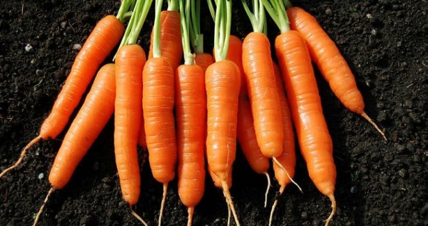 Foto - Konsantrasyon ve Hafızayı geliştiren 5 besin grubu