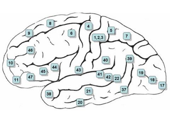 Foto - Konuşmamız nasıl gerçekleşiyor? Konuşurken bir kez daha düşüneceksiniz