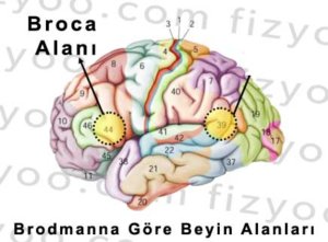 Foto - Konuşmamız nasıl gerçekleşiyor? Konuşurken bir kez daha düşüneceksiniz