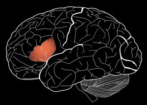 Foto - Konuşmamız nasıl gerçekleşiyor? Konuşurken bir kez daha düşüneceksiniz