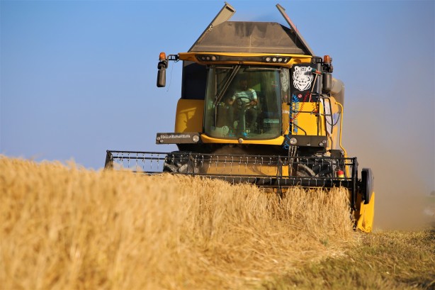 Foto - Konya'da hububat hasadında kuraklık alarmı