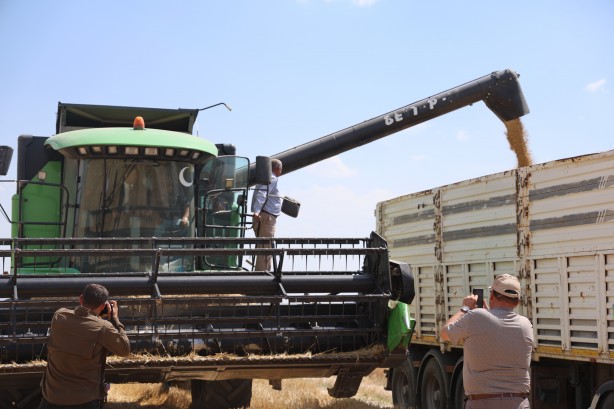 Foto - Konya'da hububat hasadında kuraklık alarmı