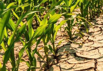 Foto - Konya'da korkutan gelişme! İmamlar duaya çıkıyor