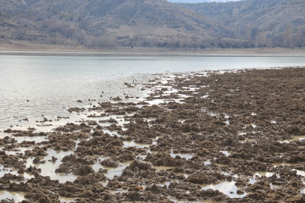 Foto - Konya’da yağışlar barajlarda doluluk oranını artırıyor