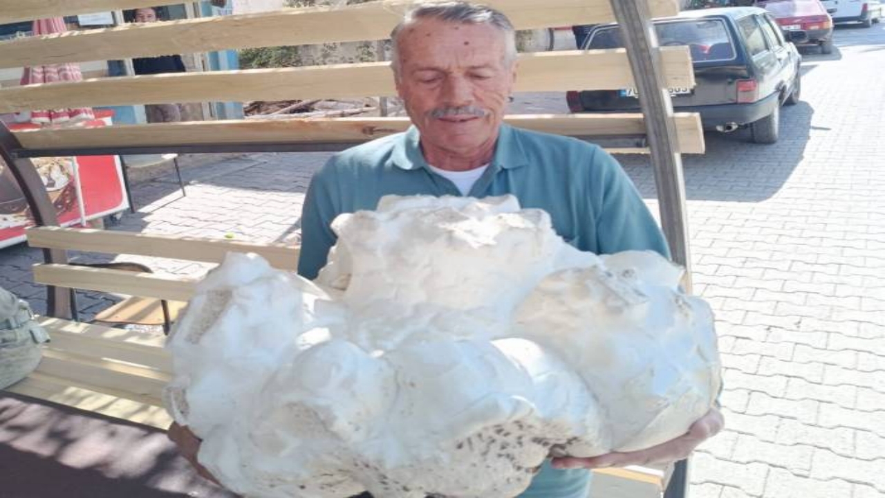 Foto - Konya’nın bir köyünde bulundu! İlk önce taş sandı, yaklaşınca donup kaldı