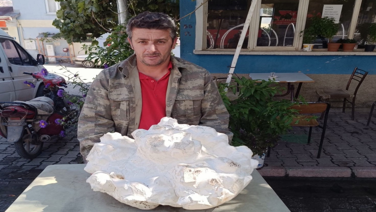 Foto - Konya’nın bir köyünde bulundu! İlk önce taş sandı, yaklaşınca donup kaldı