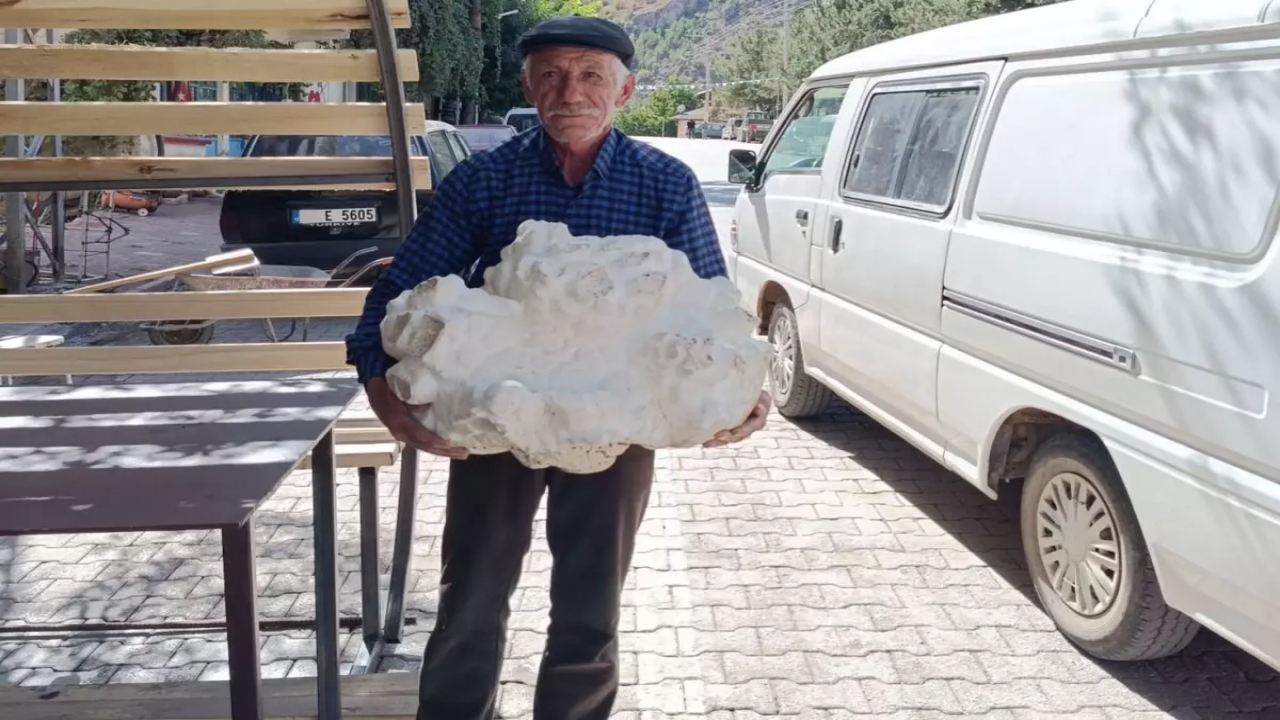 Konya’nın bir köyünde bulundu! İlk önce taş sandı, yaklaşınca donup kaldı