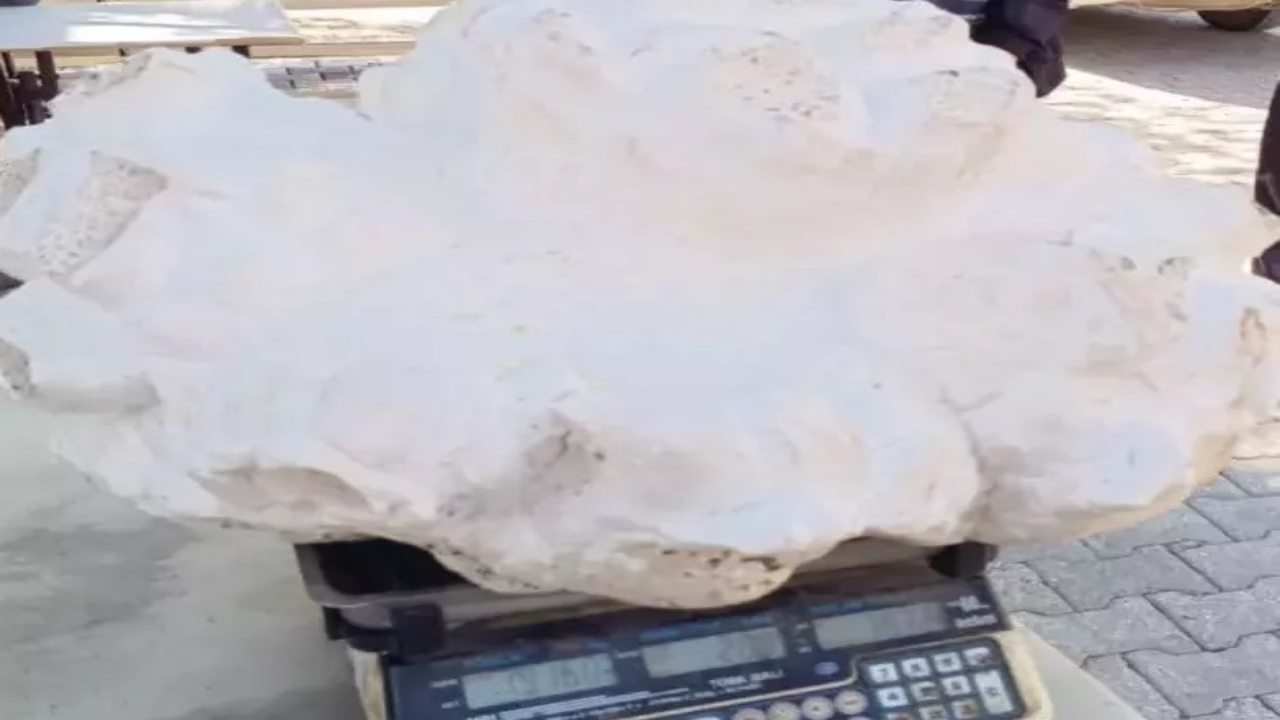 Foto - Konya’nın bir köyünde bulundu! İlk önce taş sandı, yaklaşınca donup kaldı