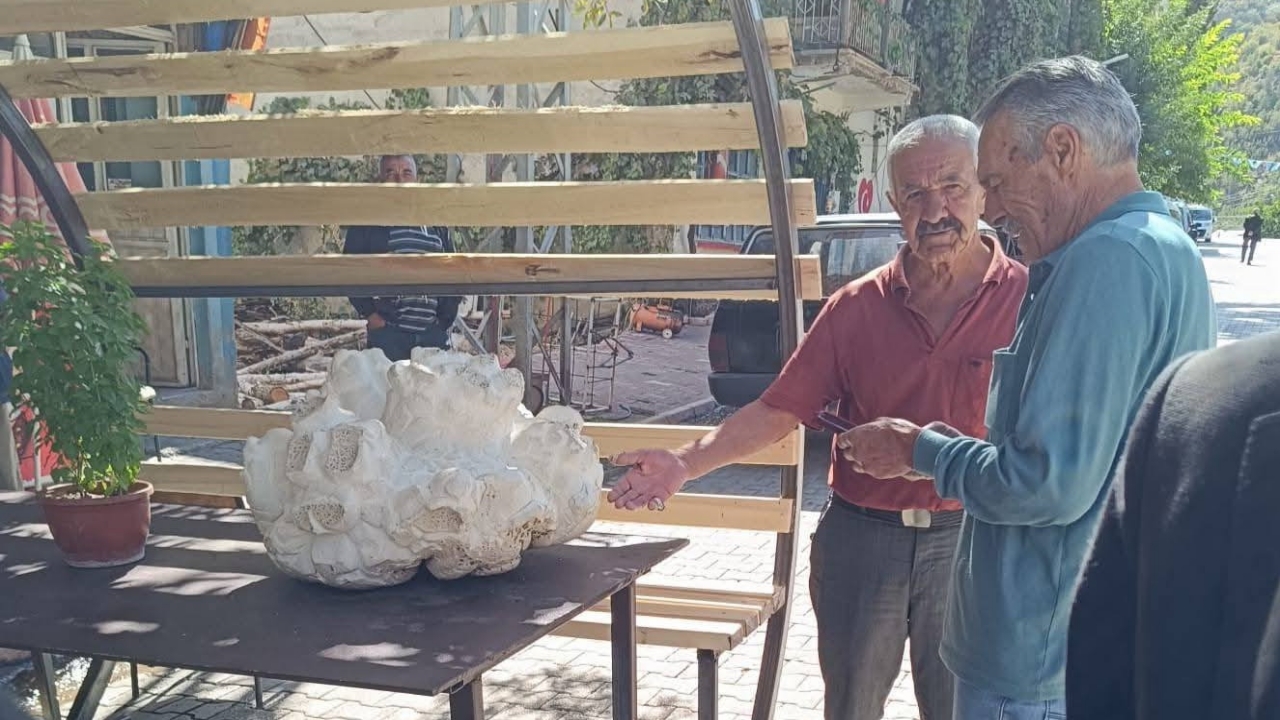 Foto - Konya’nın bir köyünde bulundu! İlk önce taş sandı, yaklaşınca donup kaldı