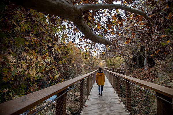 Foto - Konya'nın saklı cenneti: Yerköprü Şelalesi