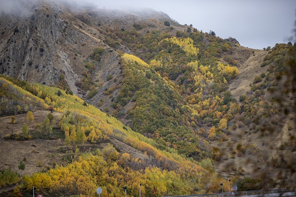 Foto - Kop Dağı'nda sonbahar