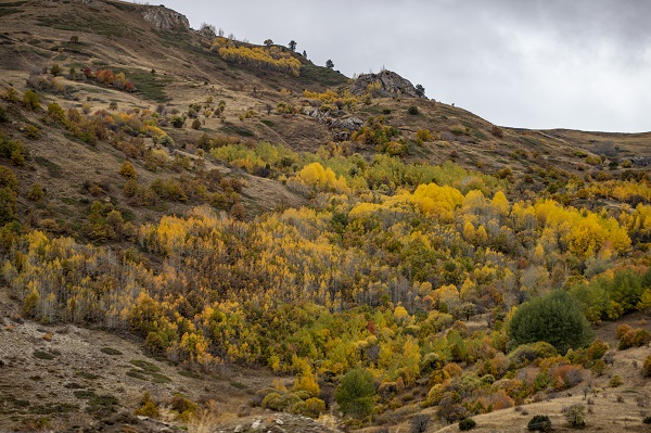 Foto - Kop Dağı'nda sonbahar
