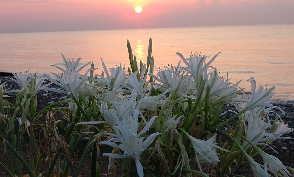 Foto - Koparmanın cezası 387 bin TL