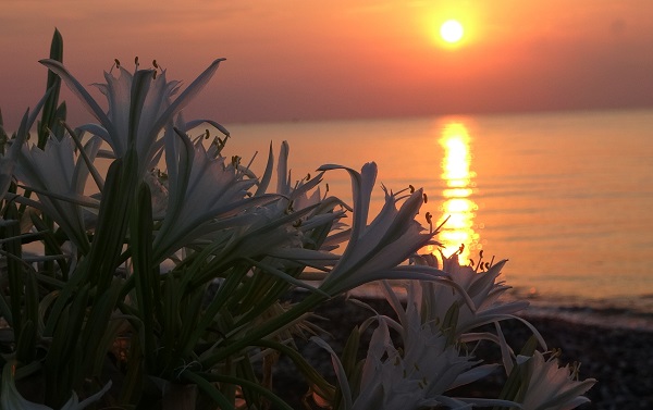 Foto - Koparmanın cezası 387 bin TL