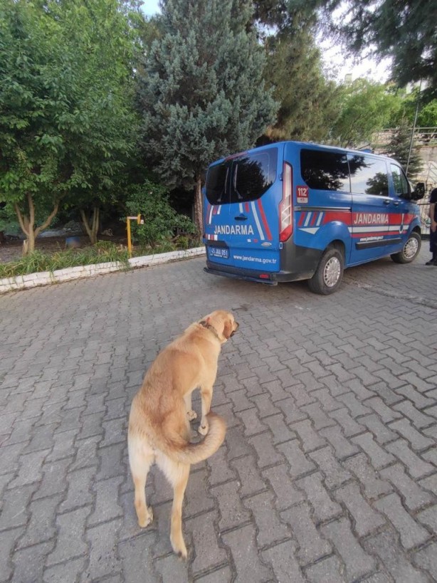 Foto - Köpeği motosikletin arkasına bağlayan vicdansız sürücü yakalandı