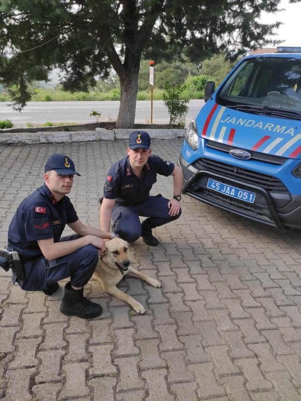 Foto - Köpeği motosikletin arkasına bağlayan vicdansız sürücü yakalandı