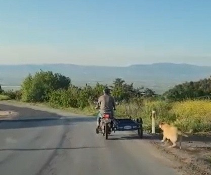 Foto - Köpeği motosikletin arkasına bağlayan vicdansız sürücü yakalandı