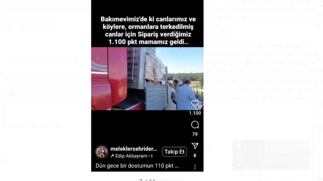 Foto - Köpek bağışları nereye gidiyor, merak ediyor musunuz? Melekler Şehri’nde şeytani vurgun