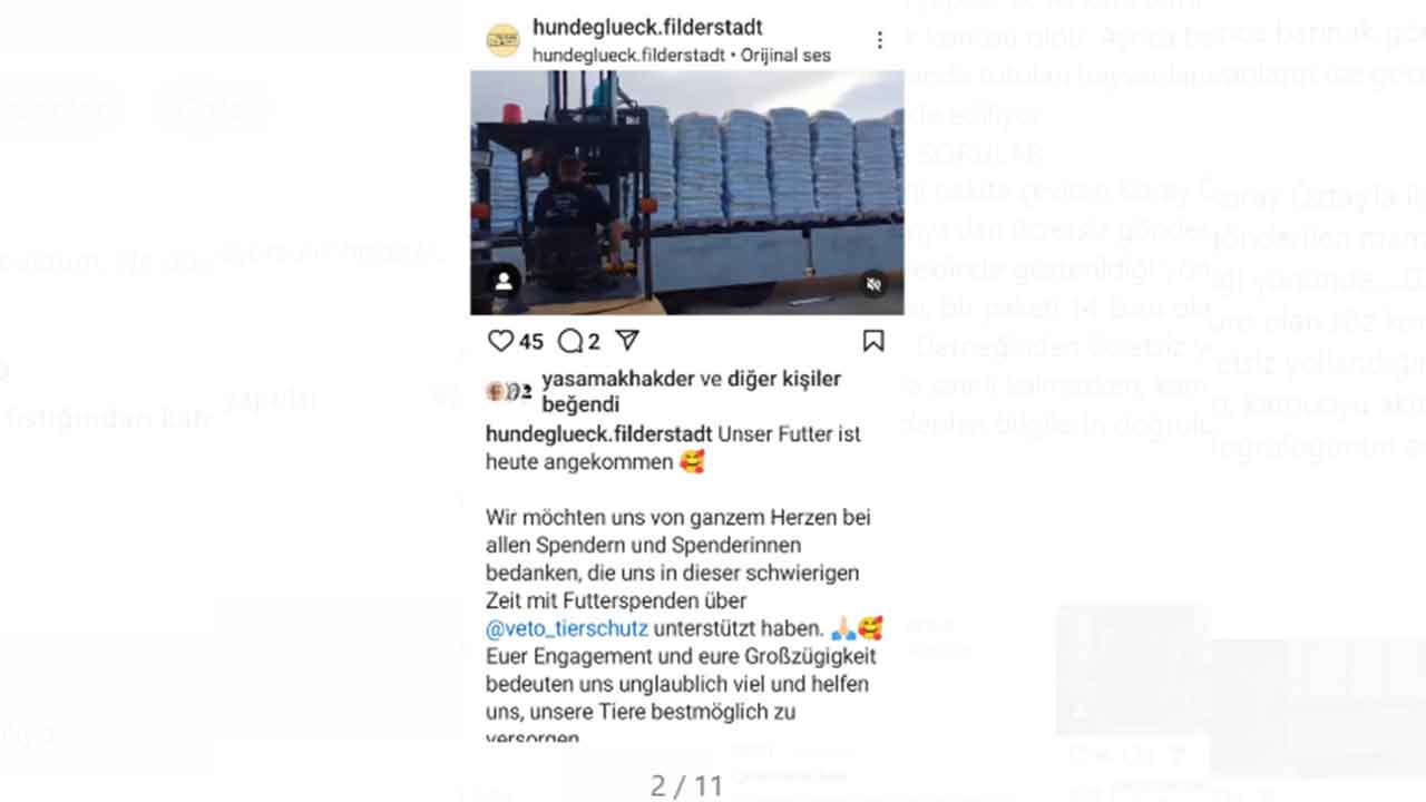 Foto - Köpek bağışları nereye gidiyor, merak ediyor musunuz? Melekler Şehri’nde şeytani vurgun