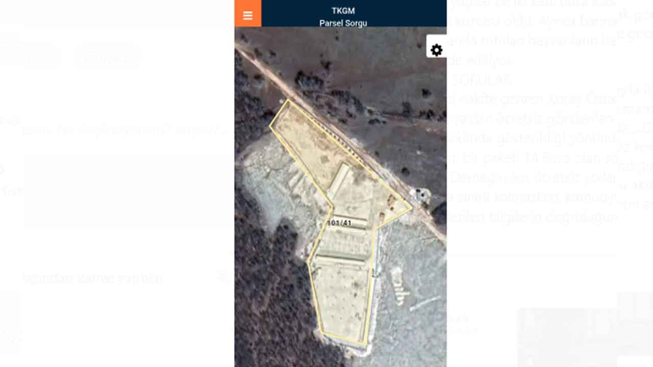 Foto - Köpek bağışları nereye gidiyor, merak ediyor musunuz? Melekler Şehri’nde şeytani vurgun