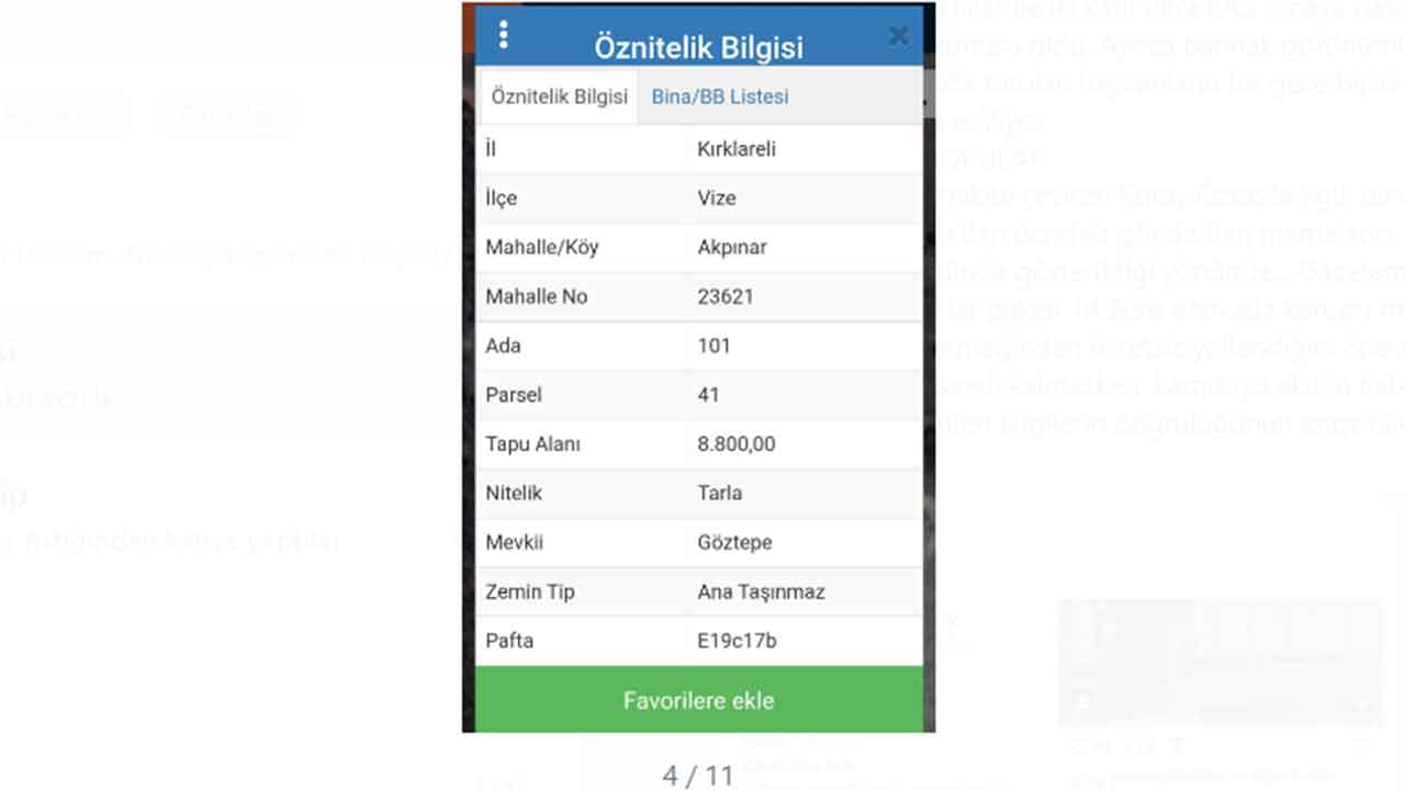 Foto - Köpek bağışları nereye gidiyor, merak ediyor musunuz? Melekler Şehri’nde şeytani vurgun