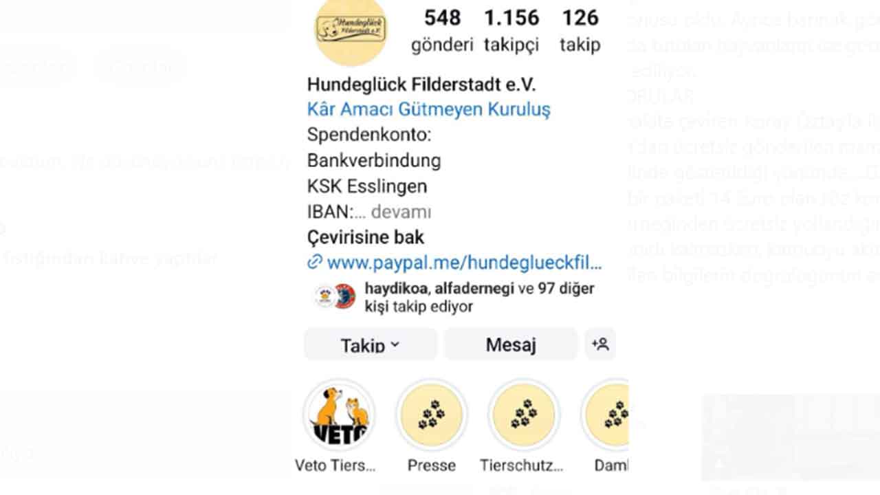 Foto - Köpek bağışları nereye gidiyor, merak ediyor musunuz? Melekler Şehri’nde şeytani vurgun