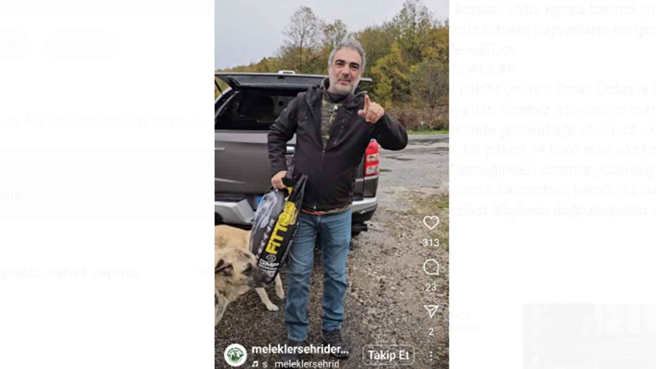 Foto - Köpek bağışları nereye gidiyor, merak ediyor musunuz? Melekler Şehri’nde şeytani vurgun